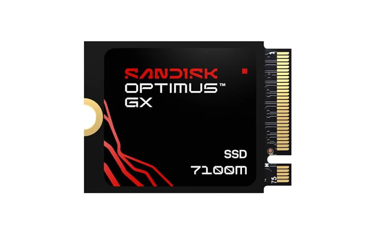 Sandisk Optimus GX 7100M 1TB NVMe SSD