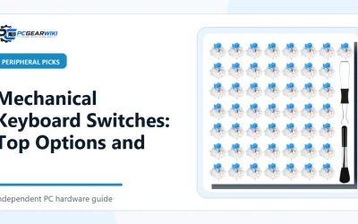 Mechanical Keyboard Switches: Top Options and Buying Guide